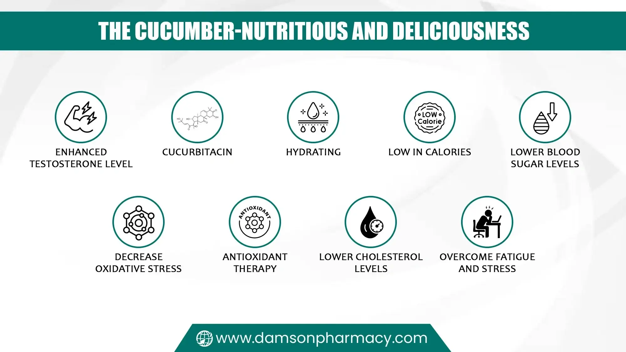 The Cucumber-Nutritious and Deliciousness